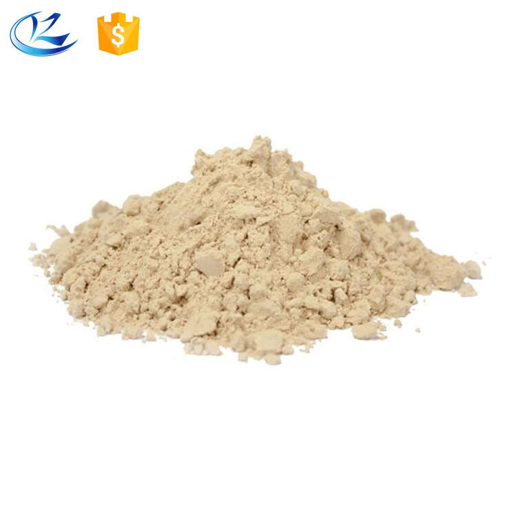 Organic Rice Protein in Bulk 25kg Highly Sought-After Food Additive