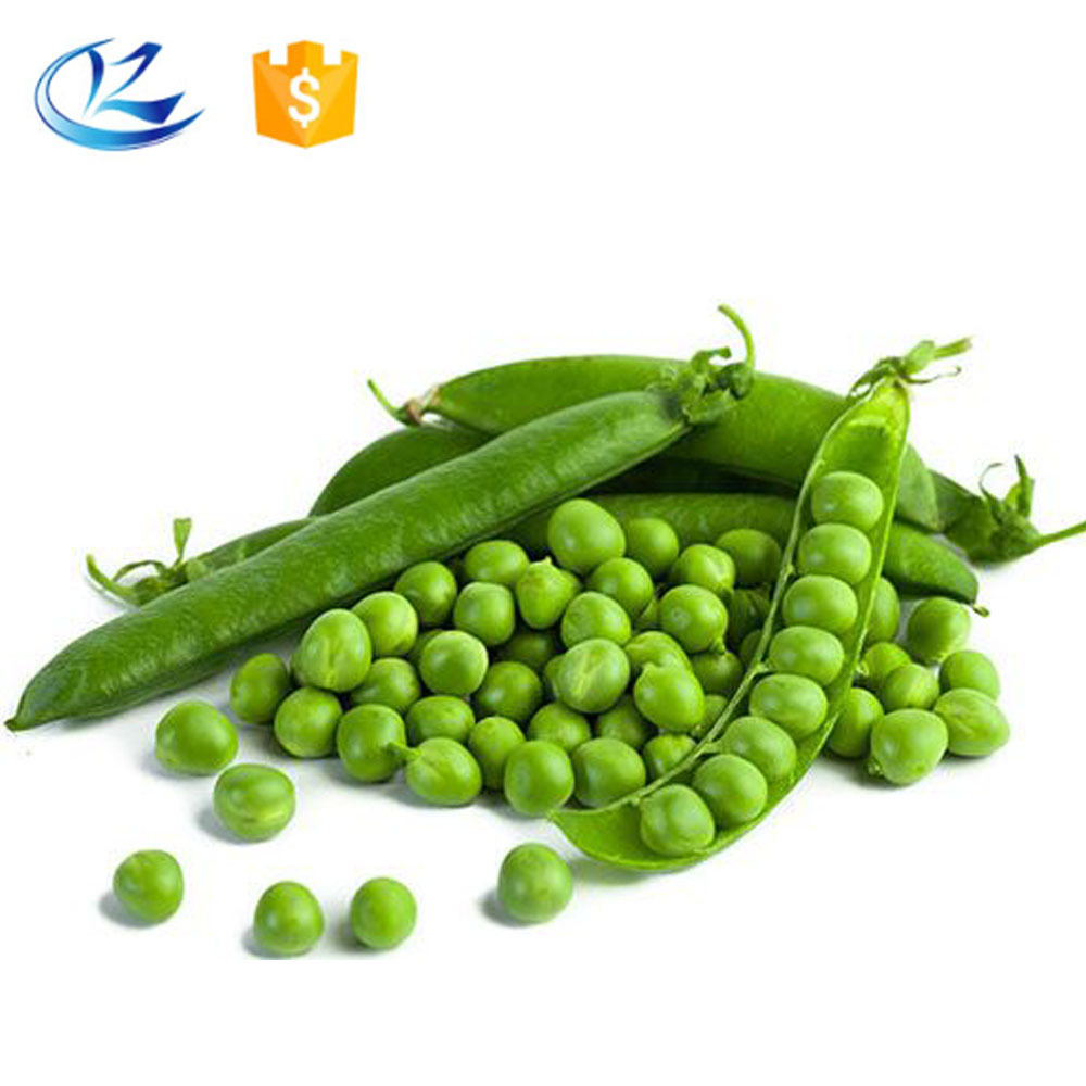 Label Bio Fermented Hydrolyzed Pea Protein Private Label Powder Form White Powder Food Grade.pharmaceutical Grade Daily Flavor