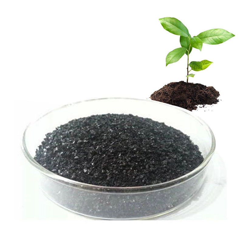 Water Solubility Humic Acid Organic Fertilizer Agricultural Bio Stimulant for Plants