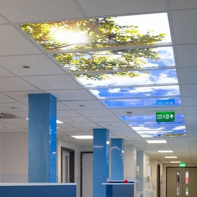 Led Ceiling Skylight Decorative Led Light Panels 300x1200 Square 40W Backlit Led Panel Light Led Blue Skylight