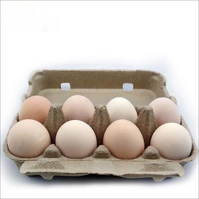 Customized high quality 6/10/12/15/18/20/24/30 empty goose egg cartons 12 pack for sale