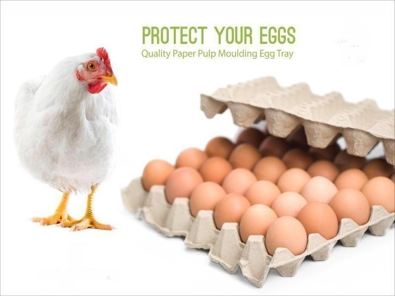 Customized high quality wholesale goose chicken egg cartons for packaging