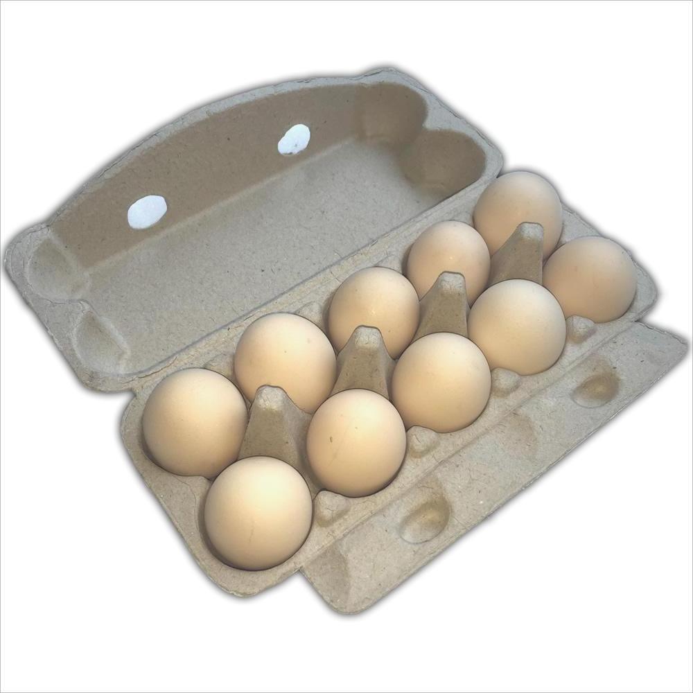 Customized high quality 6/10/12/15/18/20/24/30 empty goose egg cartons 12 pack for sale