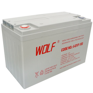 Customized Long life Rechargeable deep cycle 12v 100ah lead acid battery for electric vehicles