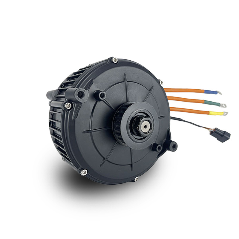 QS MOTOR 165 5000W PMSM Motor with Pulley For Sur-Ron Bike