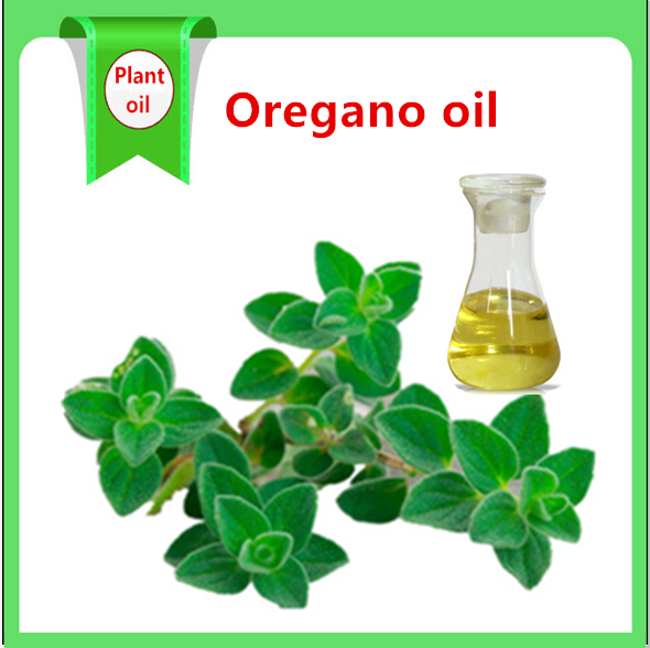 Factory Supplies High Quality Pure Wild Oregano Oil  Essential Oil Bulk In Wholesale Price Animal Feed additive CAS 8007-11-2