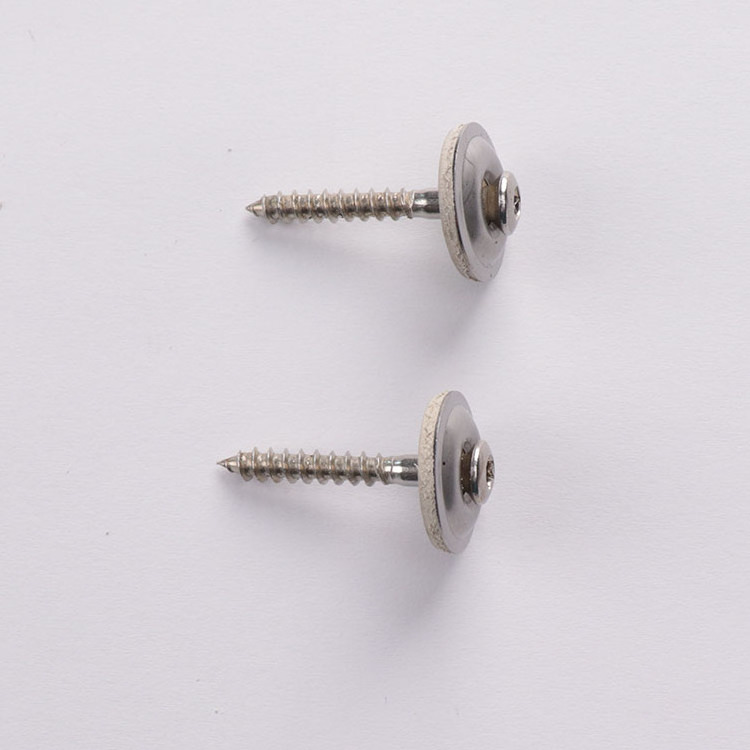 Haiyan stainless steel 304  torx slotted umbrella head with EPDM washer roofing tapping wood screw