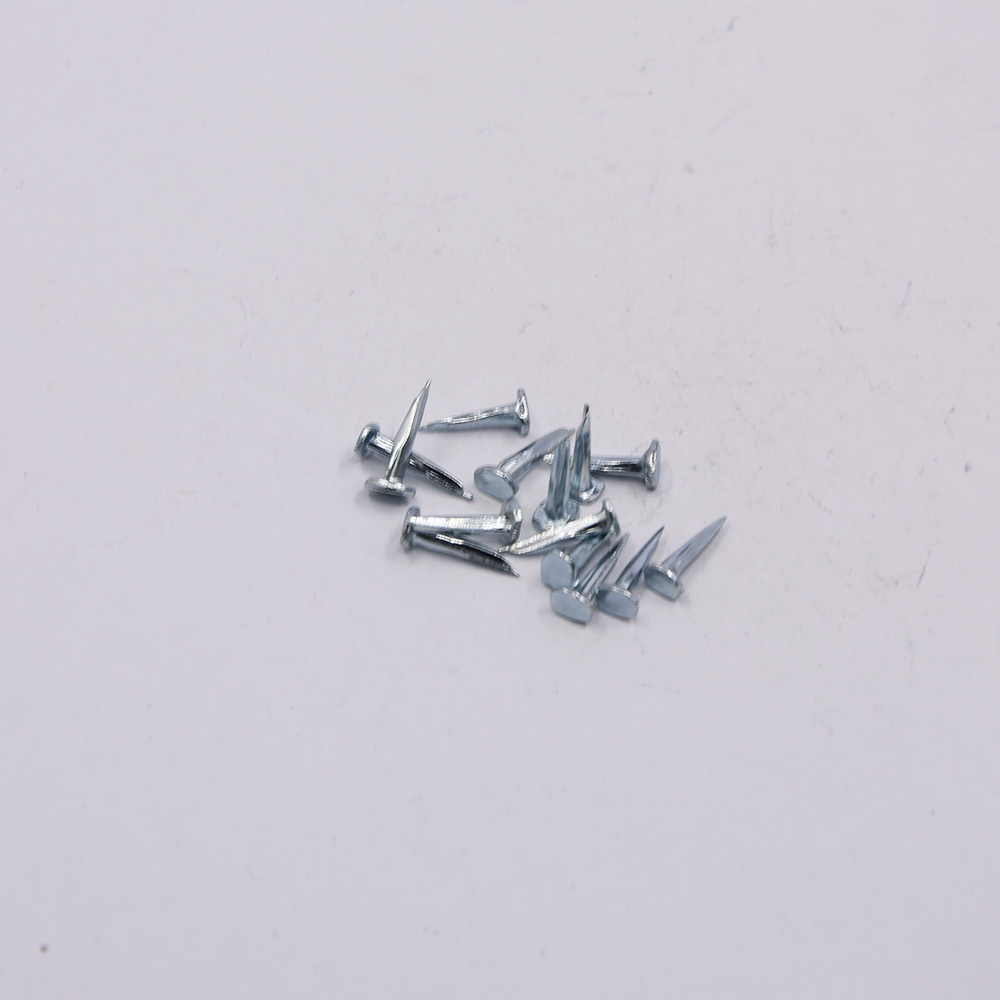 Best quality iron Q195 zinc galvanized plated shoe tack nails