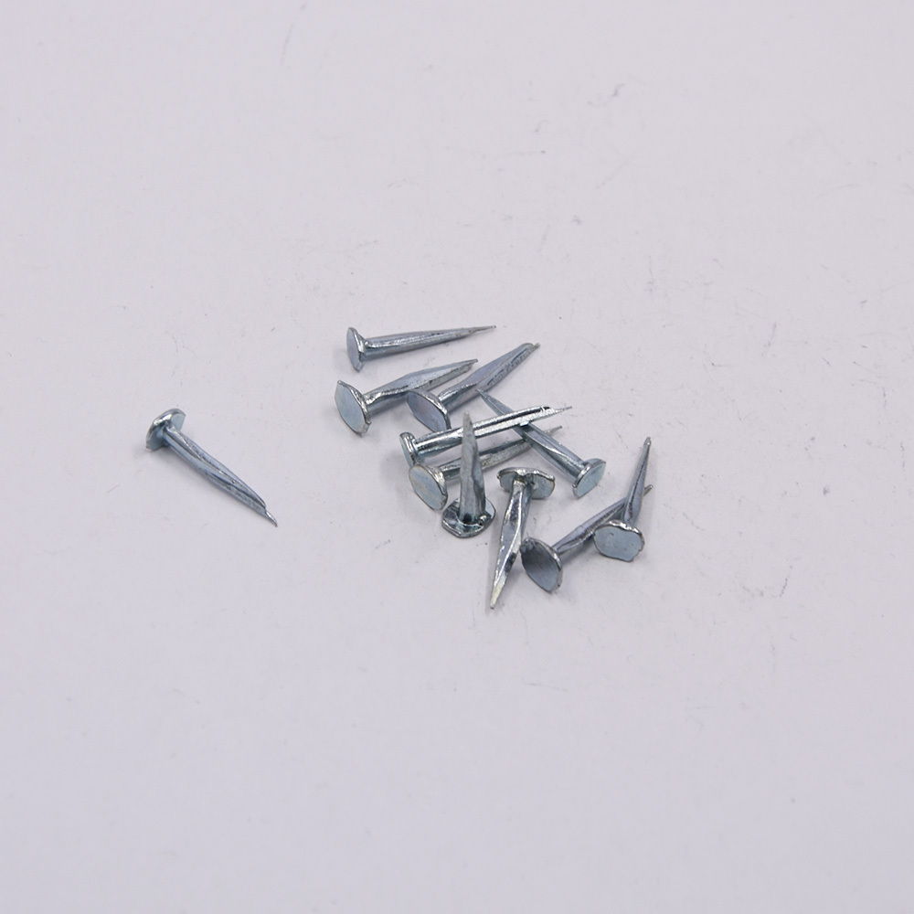 Best quality iron Q195 zinc galvanized plated shoe tack nails