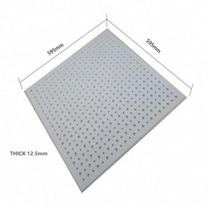 T24 Tegular Edge Acoustic Ceilings Gypsum Ceiling Tiles Metal Grid Tile Perforated Pvc