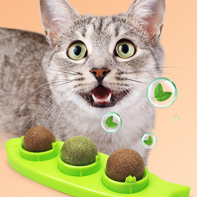 Catnip Ball Set for Cat Safe Teeth Grinding Catnip Balls Kitty Toys Teeth Cleaning Dental Chew Lick Cat Toy