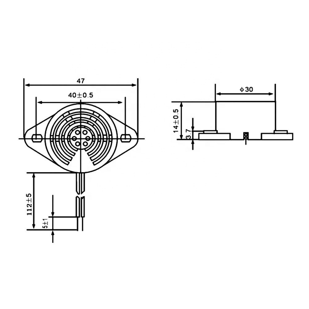 3015A SFM-27 DC3-24V Instant Sound Audible 3015 Piezo Buzzer Piezoelectric Buzzer with 110mm Wire Black Shell