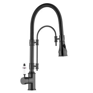 Kitchen Faucet Stainless Steel USA Black Modern Contemporary Ceramic Hotel Pull Out Kitchen Tap Bath & Shower Faucets 5 Years