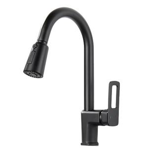 Black Kitchen Sink Faucet with Pull Down Spray RV Stainless Steel Kitchen Faucet