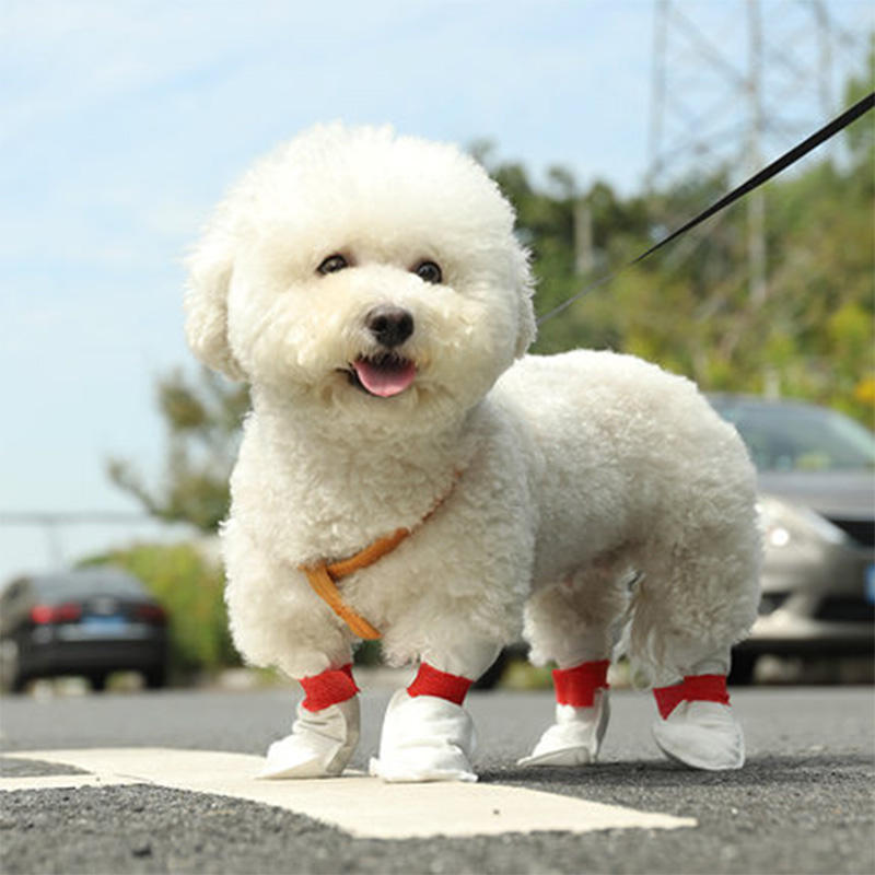 2023 Hotselling  Disposable Dog Boots Pet Shoes for Dogs Waterproof Non Slip Soft Disposable Dog Shoes Socks