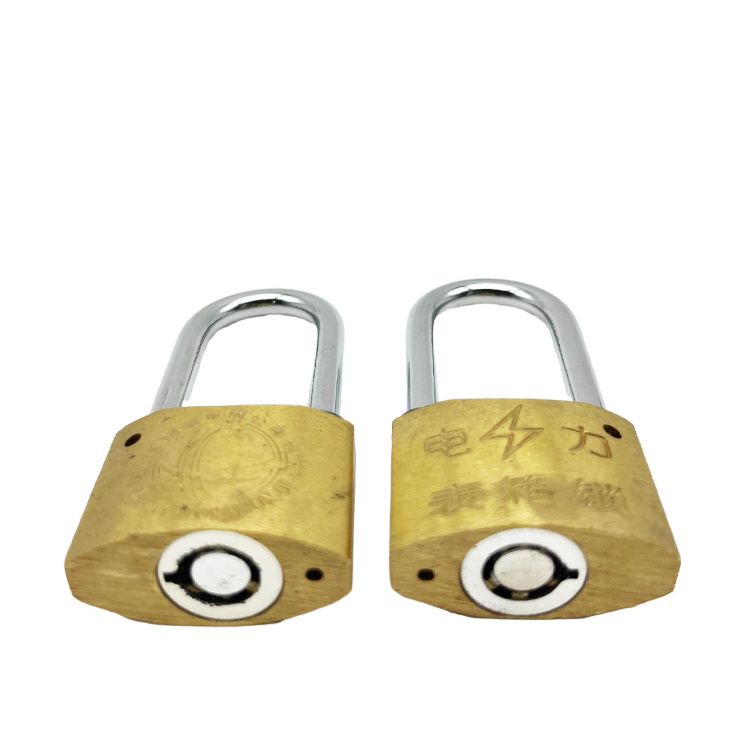 OEM Multi-function Copper Painted Master Key Cable Seal Lock Cylinder Brass Lock Security Plastic Seals Padlock Seal