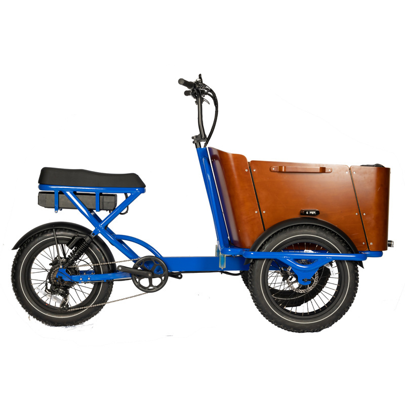 2024 OEM ODM Three Wheels Big Battery Powerful 250W 500W Motor Electric Trike Fat Tire 3 Wheel Electric Tricycle Delivery