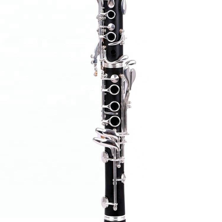 SEASOUND Professional BB Clarinet 17 Keys in Ebony Body with Silver Keys JYCL301EB Black Leather Case ABS Plastic Engraved