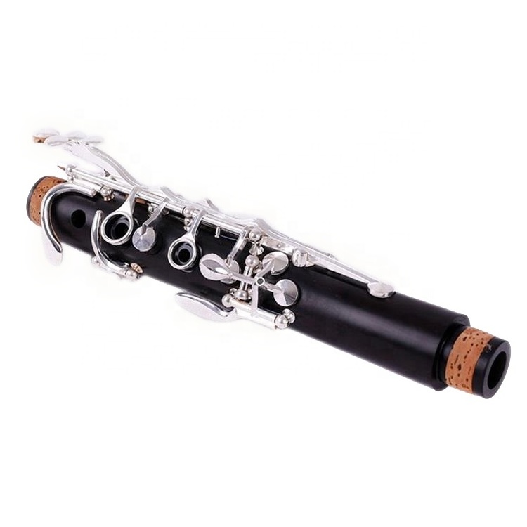 SEASOUND Professional BB Clarinet 17 Keys in Ebony Body with Silver Keys JYCL301EB Black Leather Case ABS Plastic Engraved