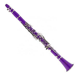 Seasound Factory OEM Cheap 17 Keys Plastic Body Purple Clarinet