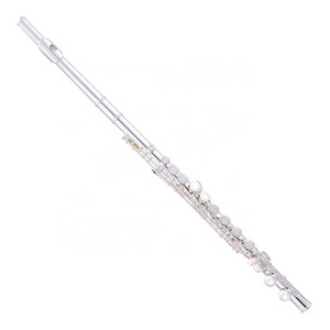 SEASOUND JYFL201S Closed Flute for Students 16 Holes Wood Body with Silver Plated Cheap Silver OEM Plastic Case