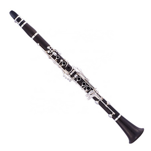 SEASOUND Professional BB Clarinet 17 Keys in Ebony Body with Silver Keys JYCL301EB Black Leather Case ABS Plastic Engraved