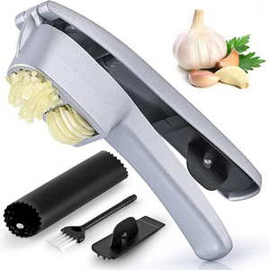 Garlic Press 2 In 1 Set Garlic Press Rocker Stainless Steel Garlic Mincer With Cleaning Brush & Silicone