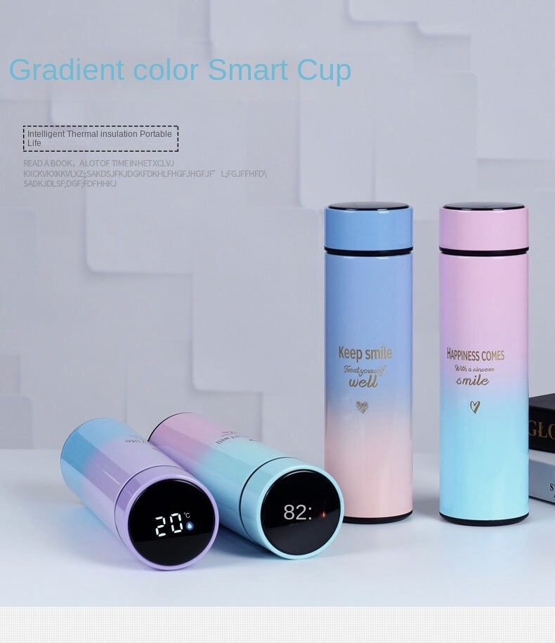 Double Wall With Led Temperature Display Cup Vaccum Flask Stainless Steel Smart Water Bottle Thermos