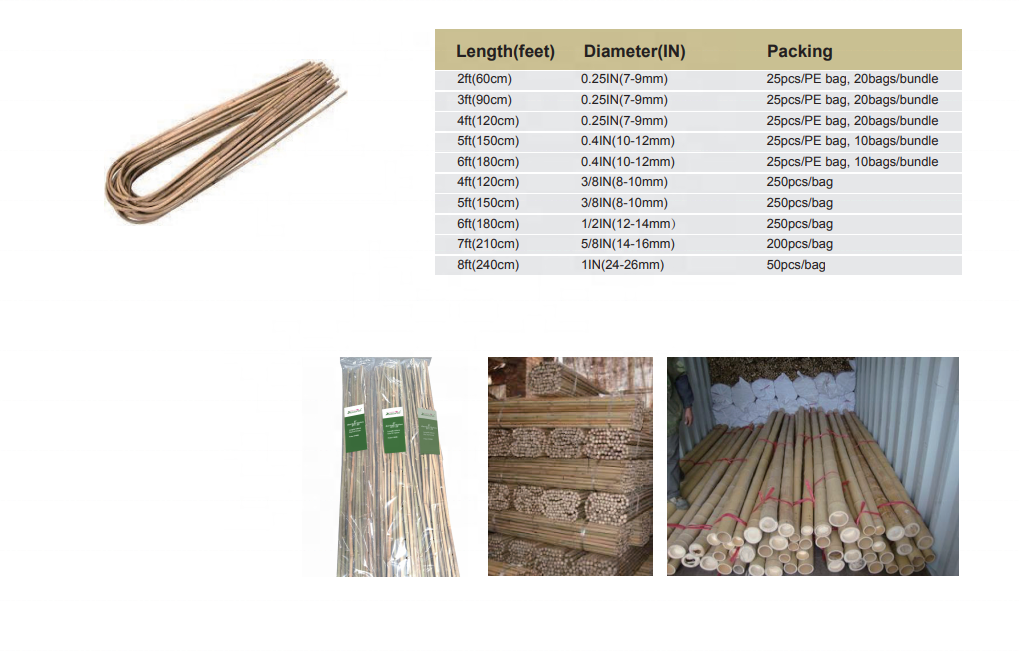 natural bamboo stake for hydroponics plant support 2ft to 8ft