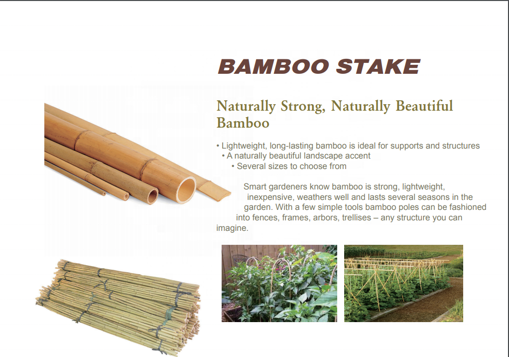 natural bamboo stake for hydroponics plant support 2ft to 8ft