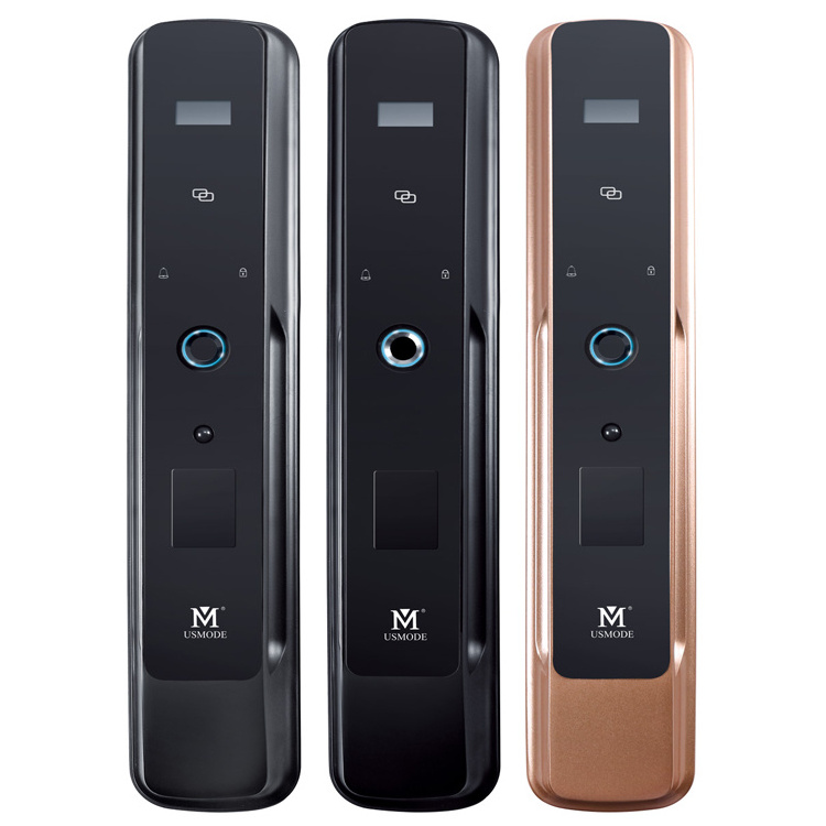 Fingerprint Password Remote Control Smart Door Lock For Apartment/Office