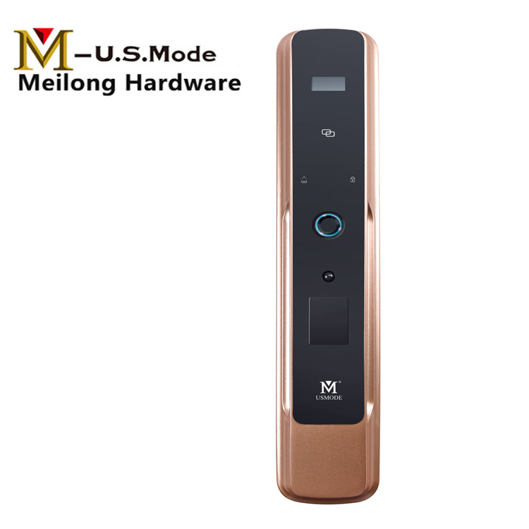 Fingerprint Password Remote Control Smart Door Lock For Apartment/Office