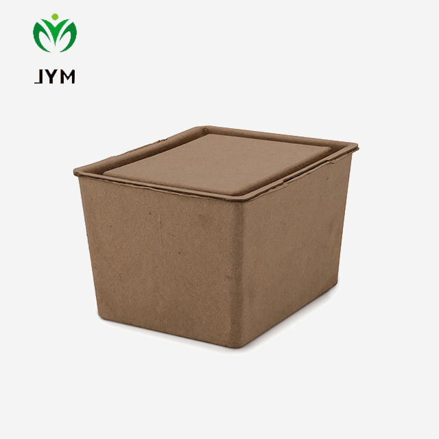 blank  skincare packaging with our eco-friendly Lip quart Shape Empty Biodegradable Molded Pulp Cosmetics Box