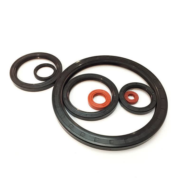 High Abrasion Resistance National Industrial Shaft Tg Nbr Fkm National Neoprene Fkm Hnbr Epdm Oil Seals