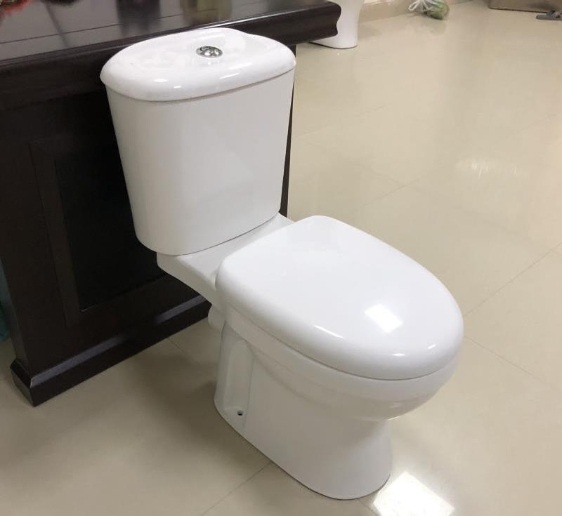 African EU market design ceramic two piece couple toilet wc