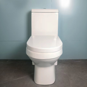 Modern Hot Sale High Quality toilet bowl Siphon Jet Flushing Toilets S-Trap Drainage style Factory Price  One Piece Toilet