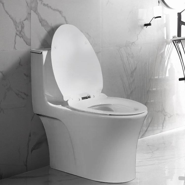 Hot selling Sanitary Ware Ceramic toilet bowl brand dual flush Floor Mounted One Piece Toilet for bathroom