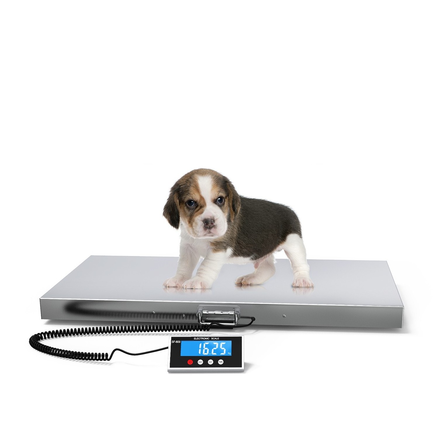 SF-809 Electronic Shipping Weighing Scale Machine 500g Digital Heavy Duty Postal Platform Scale