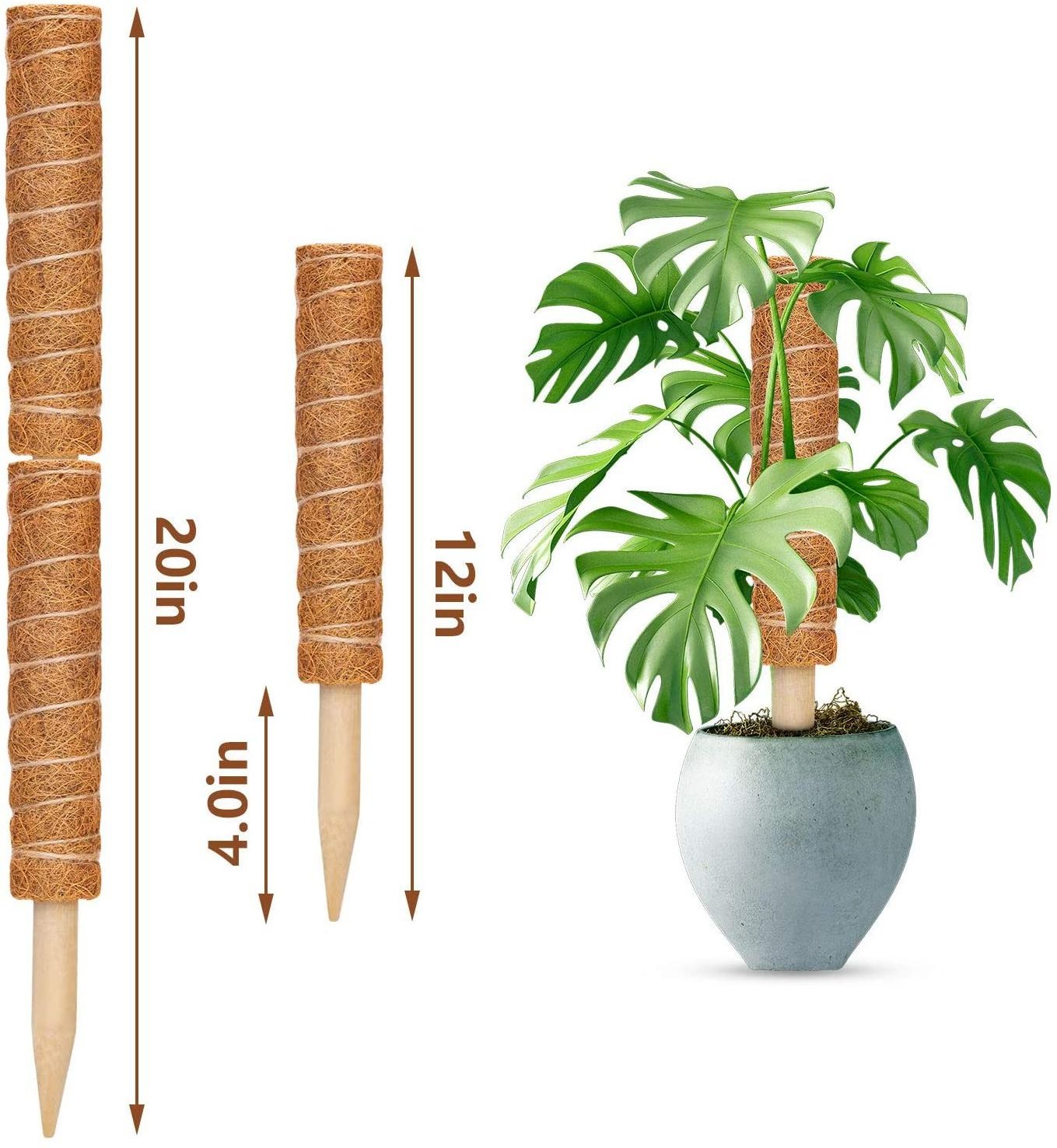 16 Inch Length plant support stick for climbing plants