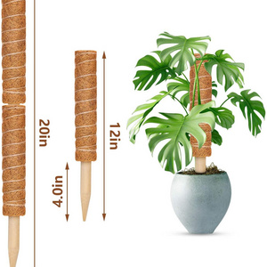 16 Inch Length plant support stick for climbing plants