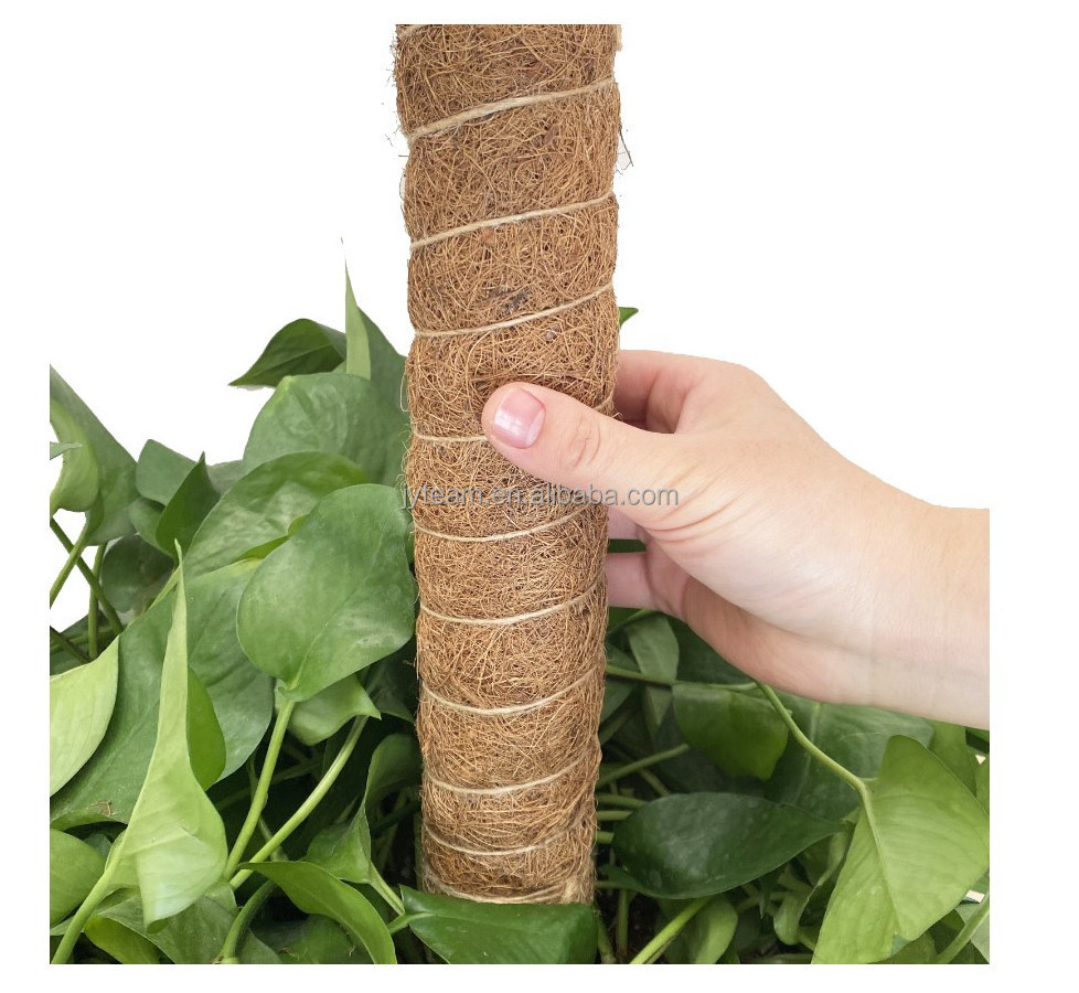 Rust Proof Metal Stake16 inch CoCo coir fiber Bendable plant support stick for climbing plants