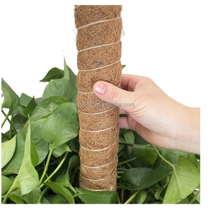 Rust Proof Metal Stake16 inch CoCo coir fiber Bendable plant support stick for climbing plants