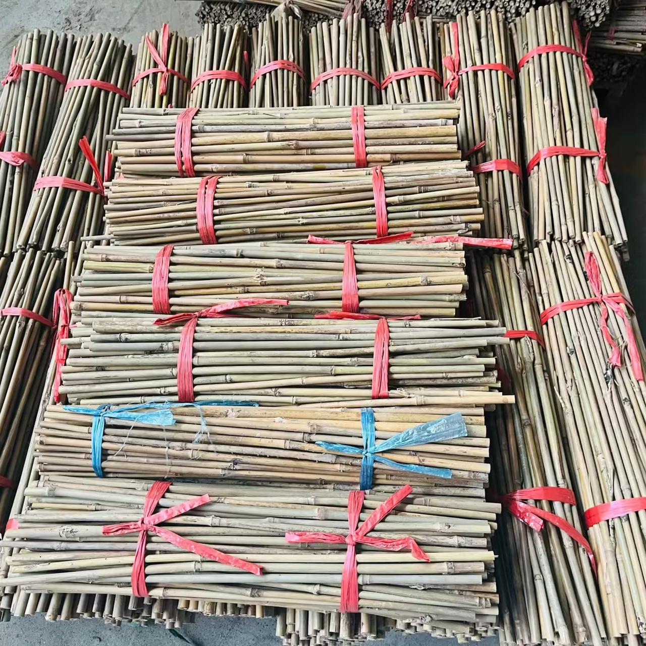 Dried Treated Bamboo Poles/canes/stakes Poles For Bamboo Raw Garden Plant Support