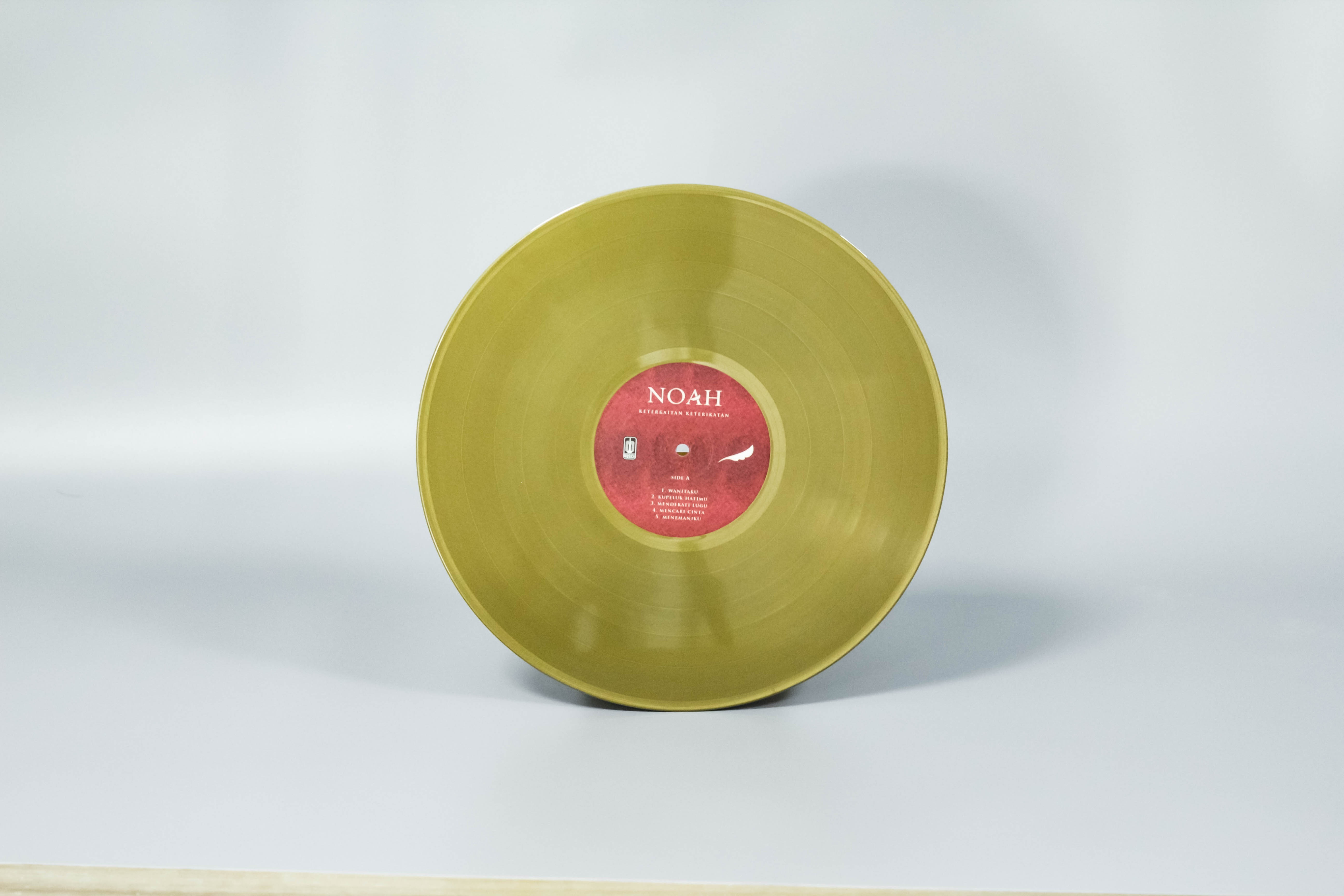 Blank Gold Vinyl Record Gold Records Pressing Vinyl Disk Pressing with White Sleeve