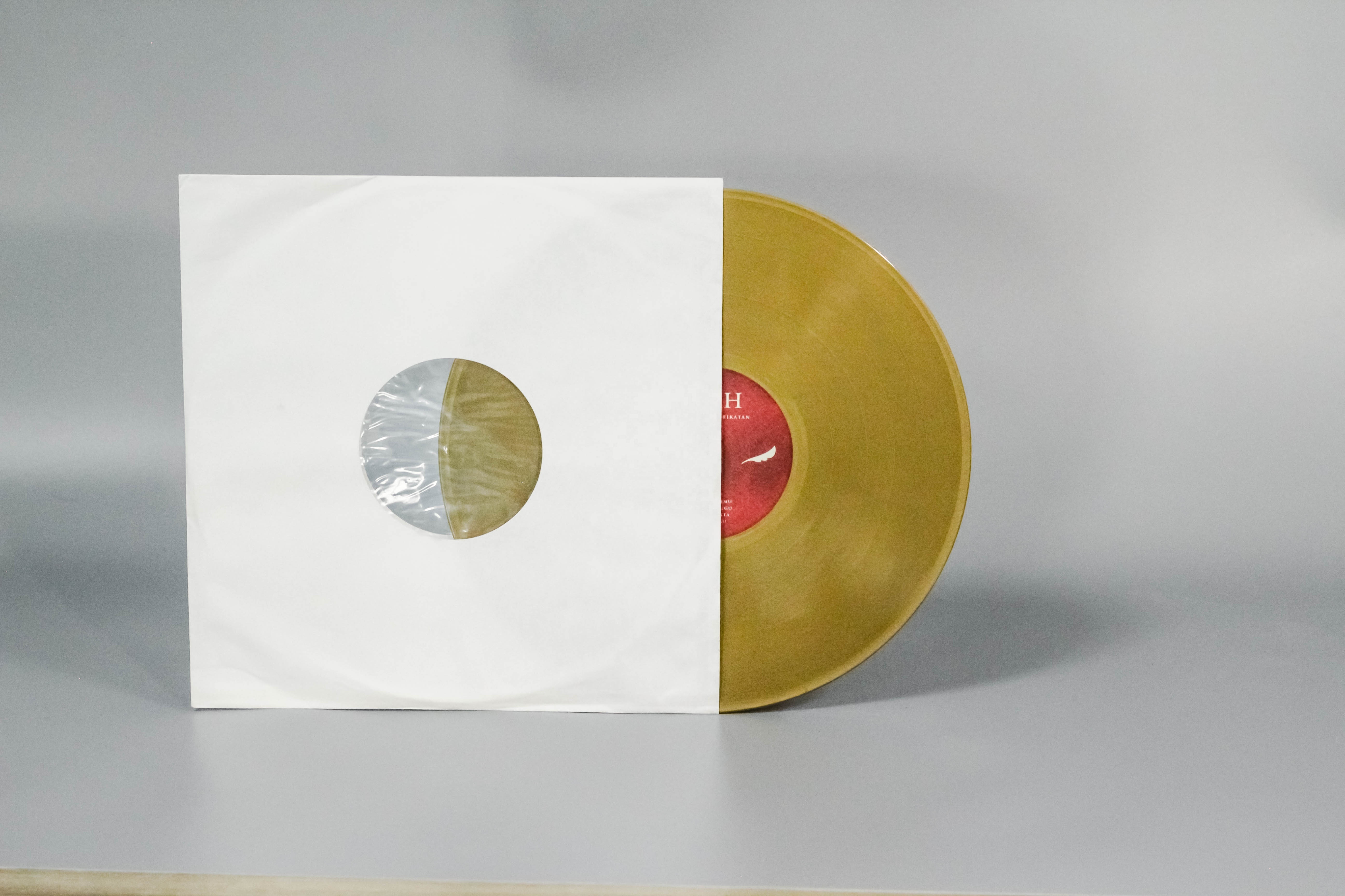 Blank Gold Vinyl Record Gold Records Pressing Vinyl Disk Pressing with White Sleeve