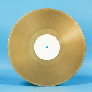 Blank Gold Vinyl Record Gold Records Pressing Vinyl Disk Pressing with White Sleeve