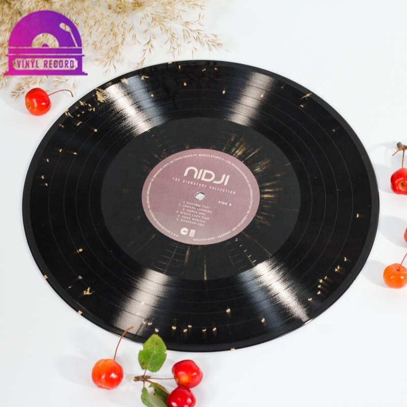 High Quality Blank Vinyl Records Vinyl Record Pressing for Decoration