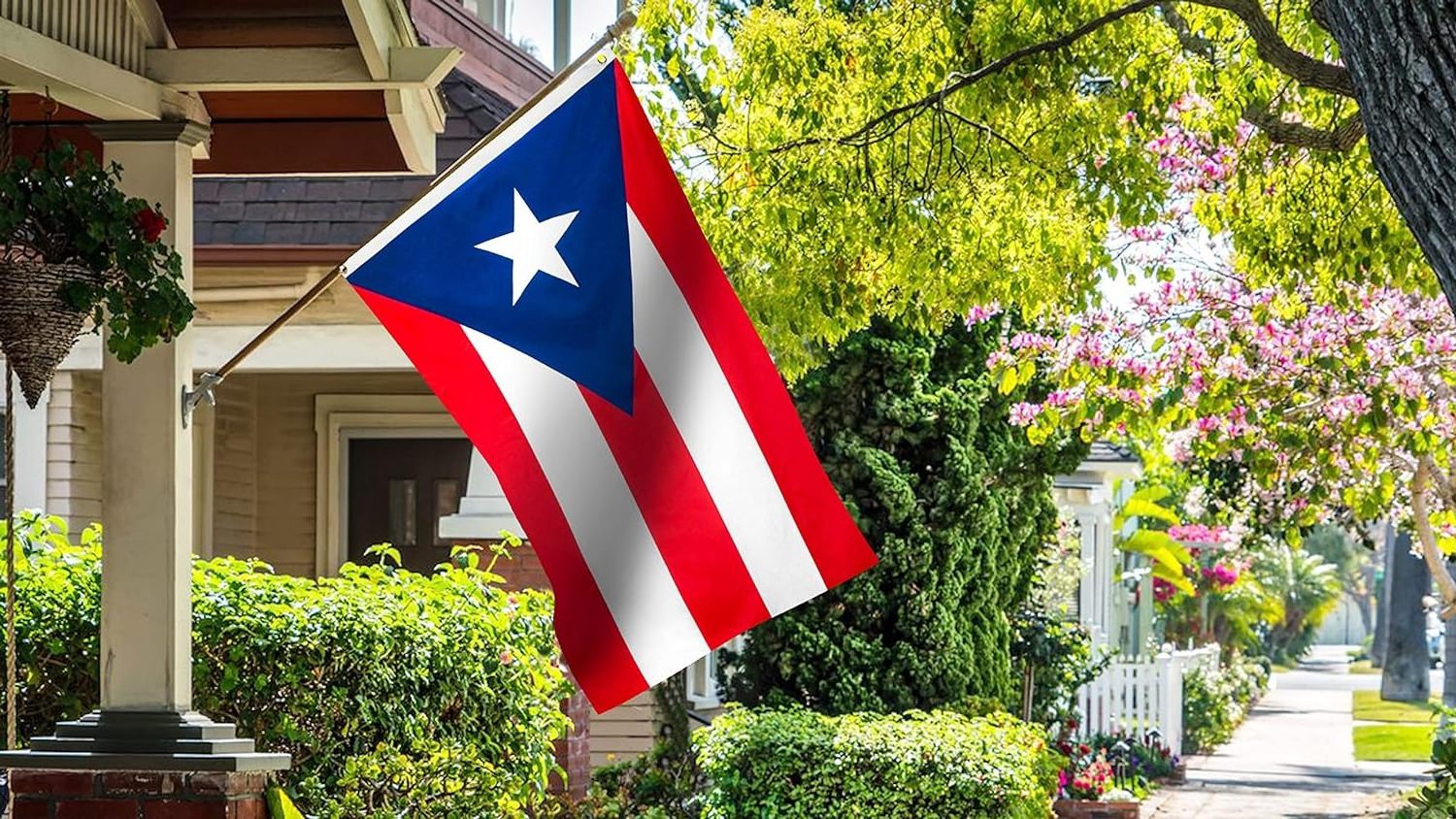 Wholesale Custom 100% Polyester bandera de Puerto Rico 3X5Ft Digital Printing Custom Puerto Rican port rico flag