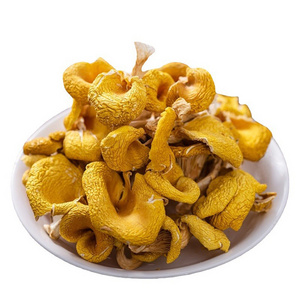 wholesale dried chanterelle mushroom