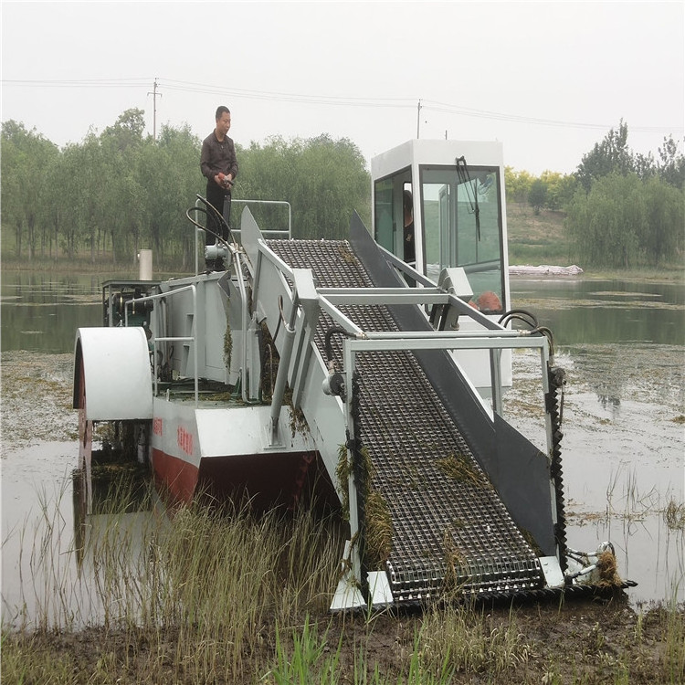 Weed Seaweed Harvester Lake Garbage Collecting Boats Beach Pond Cleaning Machine